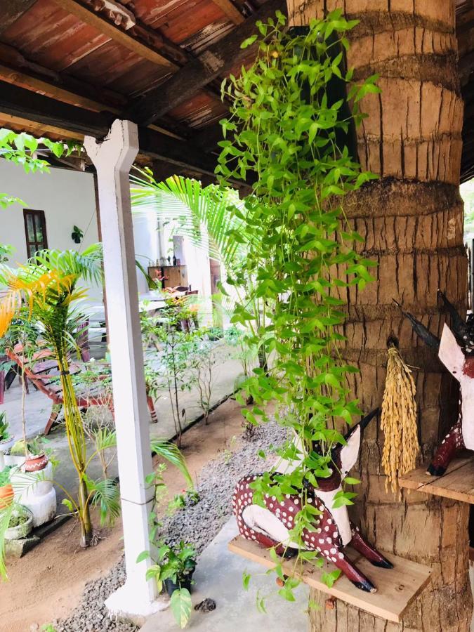 Walkers Hostel تريكونامالاي المظهر الخارجي الصورة