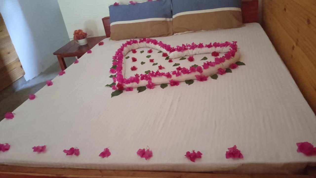 Walkers Hostel تريكونامالاي المظهر الخارجي الصورة