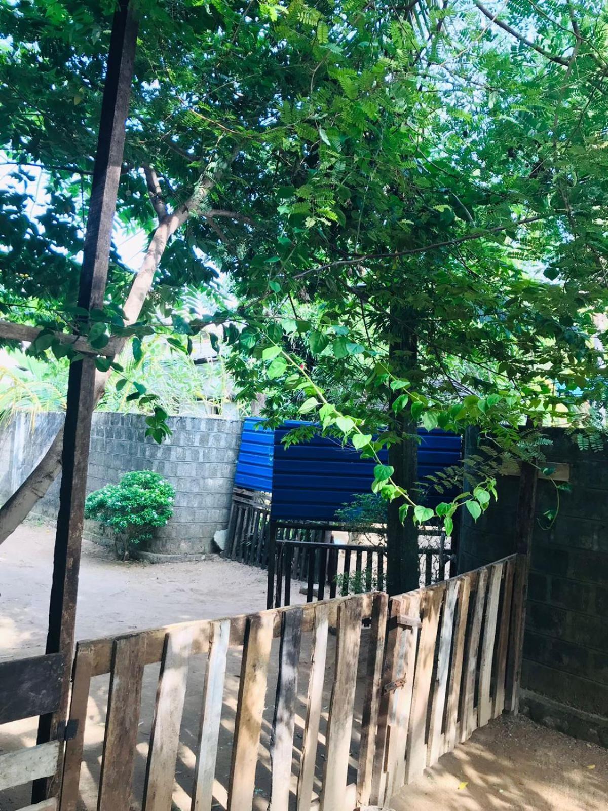Walkers Hostel تريكونامالاي المظهر الخارجي الصورة