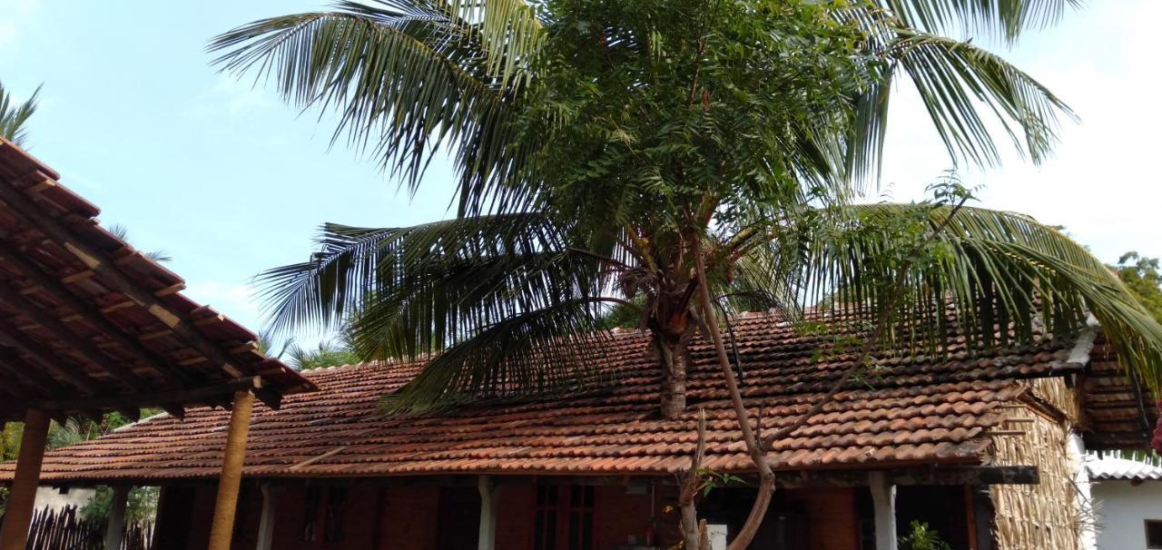 Walkers Hostel تريكونامالاي المظهر الخارجي الصورة